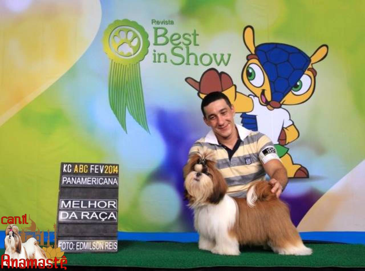 ANAMASTE-PORSCHE-EXPO