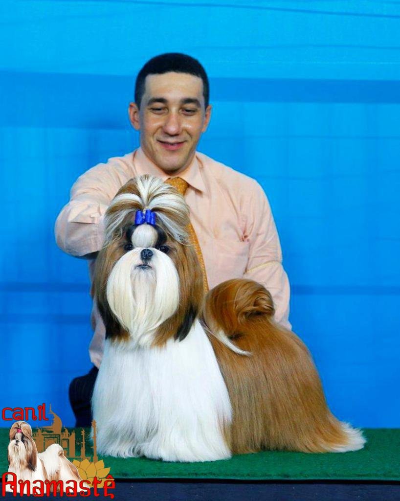 PORSCHE-FRONT-EXPO-17.5.14